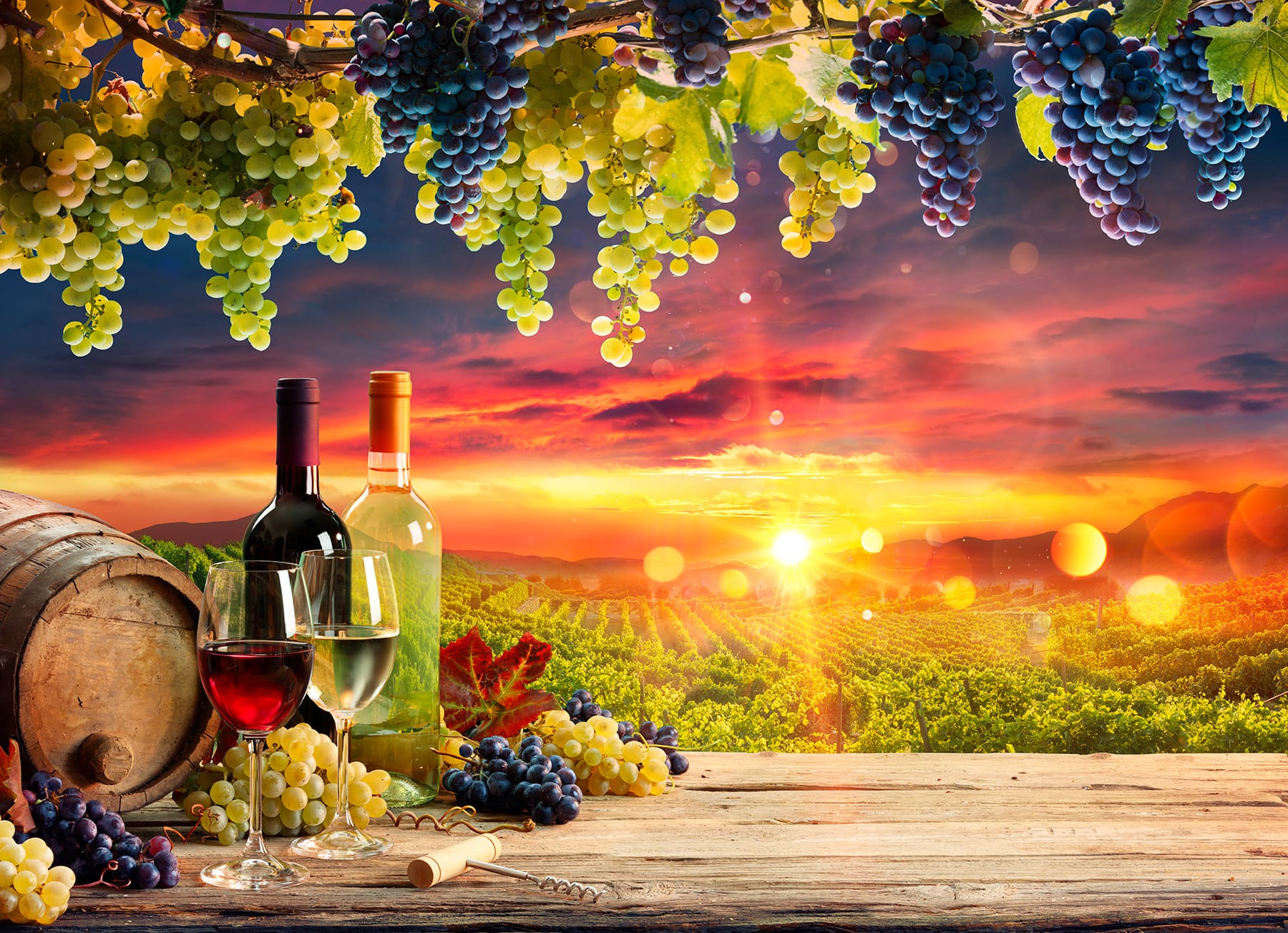 A VÍNO? - vinotéka Košice - flaskove vino, sudove odrodove vino, sudove ovocne vino