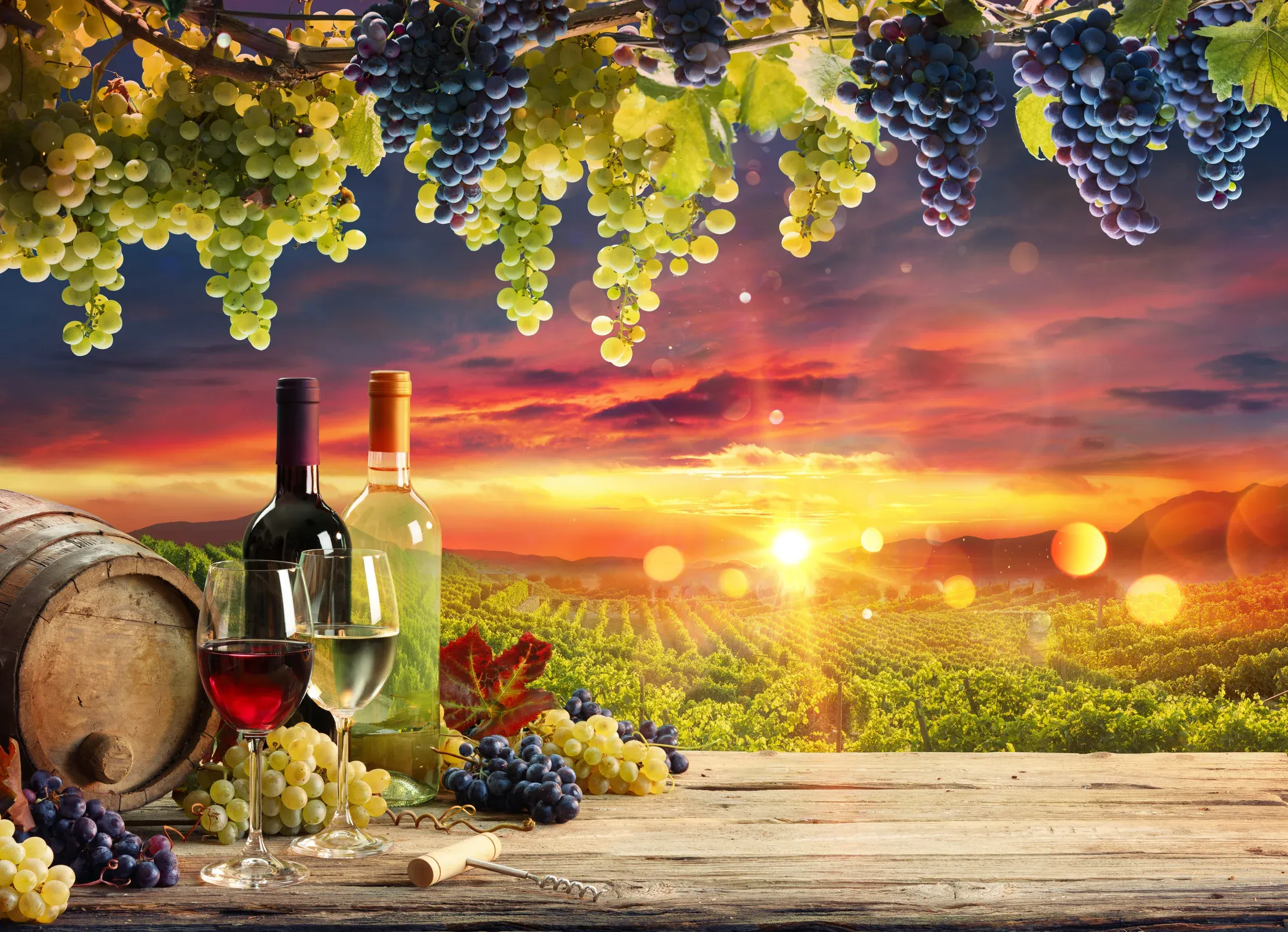 A VÍNO? - vinotéka Košice - flaskove vino, sudove odrodove vino, sudove ovocne vino